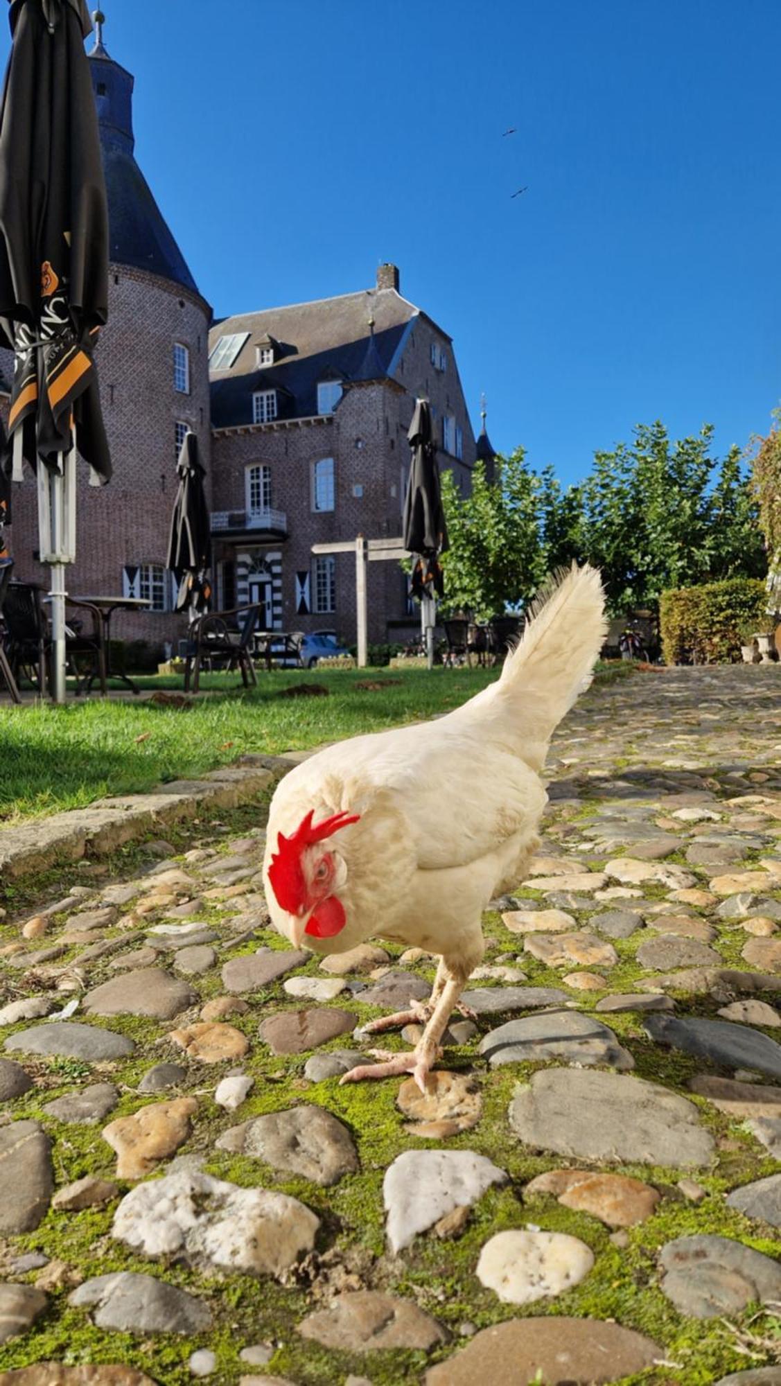 Kasteel Aldenghoor Bed & Breakfast Haelen Luaran gambar