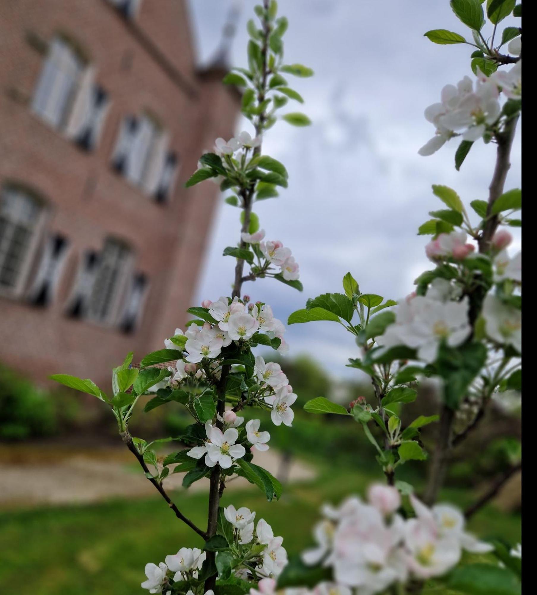 Kasteel Aldenghoor Bed & Breakfast Haelen Luaran gambar