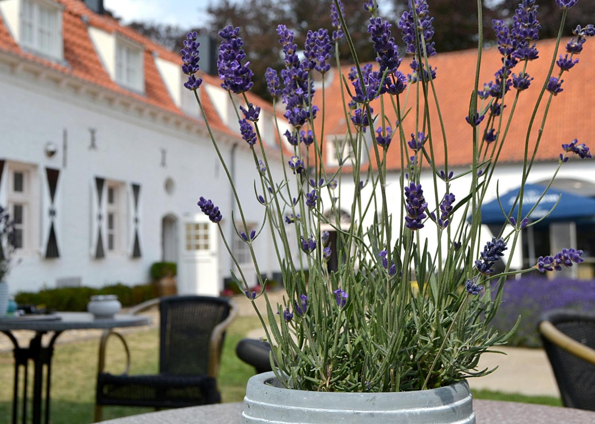 Kasteel Aldenghoor Bed & Breakfast Haelen Luaran gambar